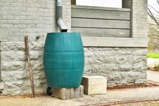 green-plastic-rain-catcher-barrel.jpg